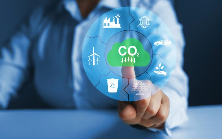 Les entreprises face aux limites de la planète : vers un management stratégique par la sensibilité à la Nature »