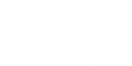 univlyon2_logo-blanc